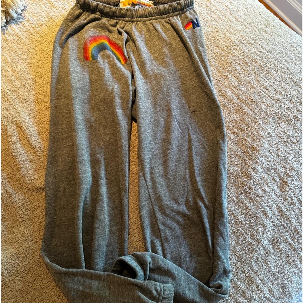 Aviator Nation gray rainbow sweatpants.